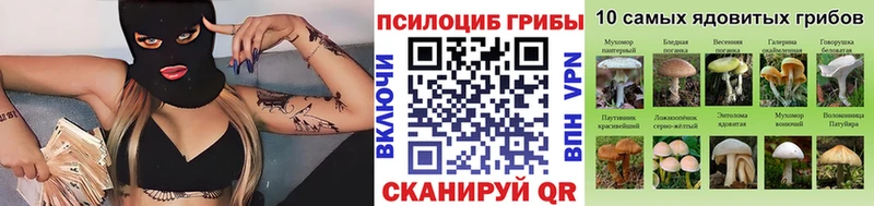 Псилоцибиновые грибы Psilocybine cubensis закладки hydra как зайти Галич